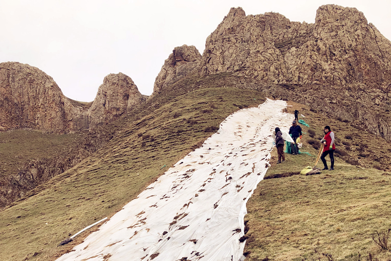 瑪溫根礦區(qū)探槽植被恢復(fù)工作圓滿完成