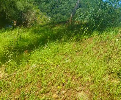 柳關(guān)欒盧鉛鋅礦|治理排土“瘡疤”，繪就綠色畫卷